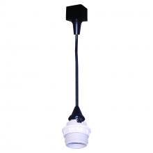  NTH-161B - Track Mounted Line Voltage Pendant Cord, 8'-6" length, Medium Base, 100W Max, Black