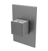  ARPTR201GM2 - Adorne® 20A One-Gang Pop-Out Outlet, Magnesium