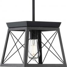  P500041-031 - Briarwood Collection One-Light Textured and Cerused Black Farmhouse Style Hanging Mini-Pendant Light