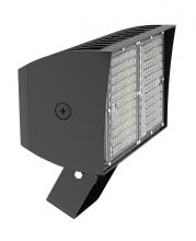  PIPXL100T/D10/PFS - PIP XL FLOODLIGHT 100W COOL