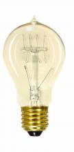  S2419 - 60 Watt A19 Incandescent; Clear; 3000 Average rated hours; 240 Lumens; Medium base; 120 Volt