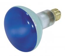  S3228 - 75 Watt BR30 Incandescent; Blue; 2000 Average rated hours; Medium base; 130 Volt