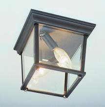  4905 RT - Ansel Collection Square 2-Light Simple Outdoor Flush Mount Ceiling Lantern Light