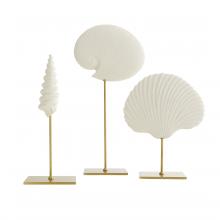 Arteriors Home DC9000 - Shell Sculptures, Set of 3