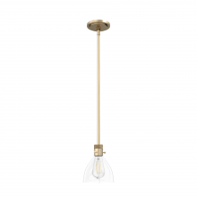  19293 - Hunter Van Nuys Alturas Gold with Clear Glass 1 Light Pendant Ceiling Light Fixture