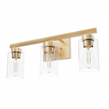  13078 - Hunter Hartland Alturas Gold with Seeded Glass 3 Light Bathroom Vanity Wall Light Fixture