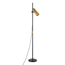  PFL9665-PBR/SBK - QUINN Floor Lamp