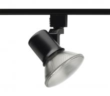  R541 BL - Trac-Lites Universal PAR20/PAR30, Black