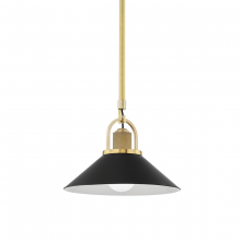  2613-AGB/BK - 1 LIGHT SMALL PENDANT