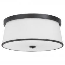  3203-20-59 - Weir 20 inches Ceiling Mount, Matte Black