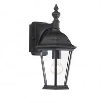  M50062BK - 1-Light Outdoor Wall Lantern in Black