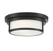  M60062MBK - 2-Light Ceiling Light in Matte Black