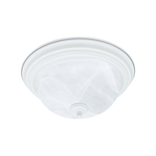  SL869218 - Thomas - Ceiling Essentials 14'' Wide 2-Light Flush Mount - White